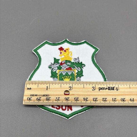 Nelson BC Canada Coat of Arms Patch Pair Vintage Embroidered Forge Ahead Crest - Picture 4 of 5